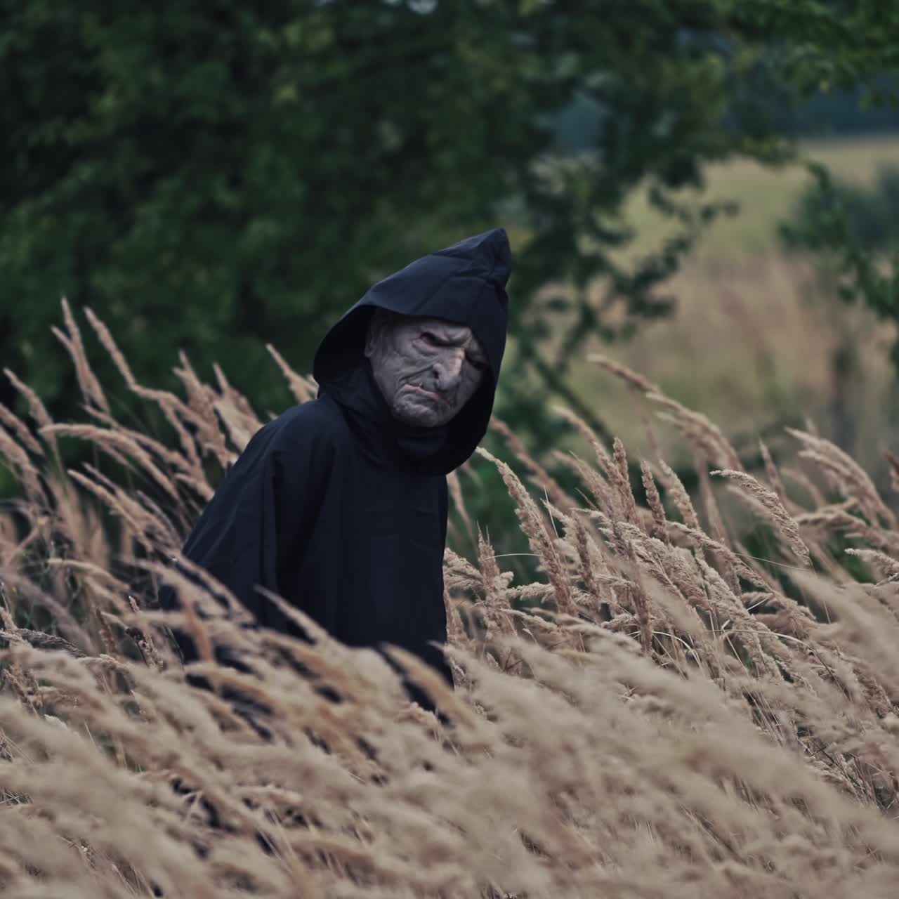 Scary figure with horrorful face outdoors. Ghost in black cloak walking in wheat field. Spooky death among nature. Halloween concept.