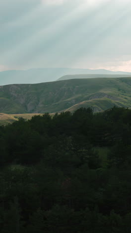 mountain scenery with forest