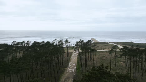 pine path to são pedro da maceda beach, ovar portugal