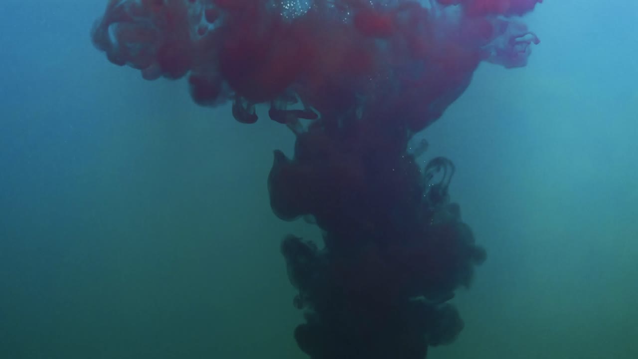 video en cámara lenta de tinta de acuarela púrpura mezclándose en agua contra un fondo azul