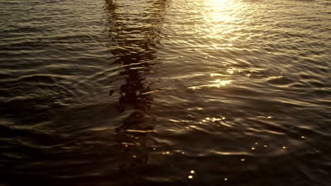 reflection of person standing in water at beach