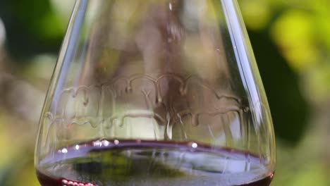 detailed view of red wine swirling inside a glass with a blurred natural background.