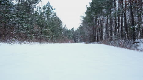 snow covered dirt road or path in the forest