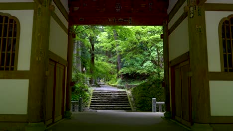 POV-Caminando-Hacia-Adelante-A-Través-De-La-Hermosa-Puerta-Del-Santuario-En-Un-Misterioso-Y-Frondoso-Bosque