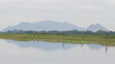 lake and mountains, bueng boraphet lake and swamp, nakhon sawan, thailand
