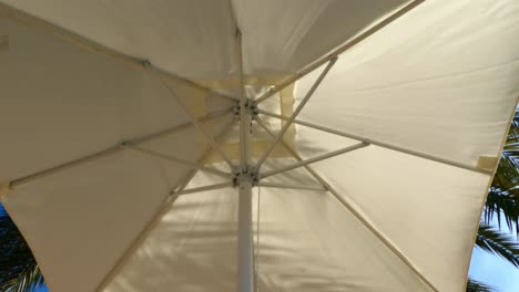 bottom view of a parasol in summer with shadows of palm trees