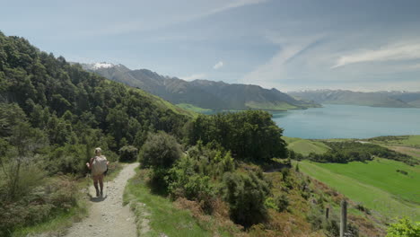 backpacker woman hiking downhill nordic walking in new zealand on sunny day