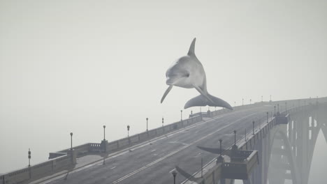 dolphin flying over a bridge in fog