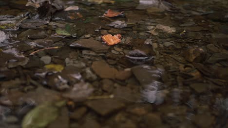 Natural-shallow-stream-of-water-flowing-over-rocks-and-pebbles-close-up-panning-shot