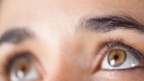 primer plano de ojos marrones femeninos contra un fondo blanco