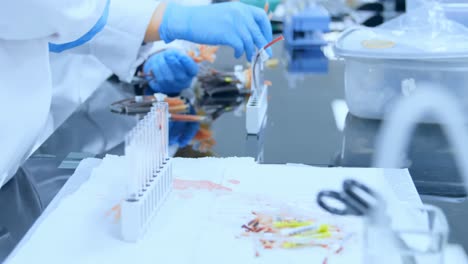 técnicos de laboratorio organizando muestras de sangre 4k