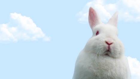 Animation-of-easter-bunny-over-blue-sky-with-copy-space