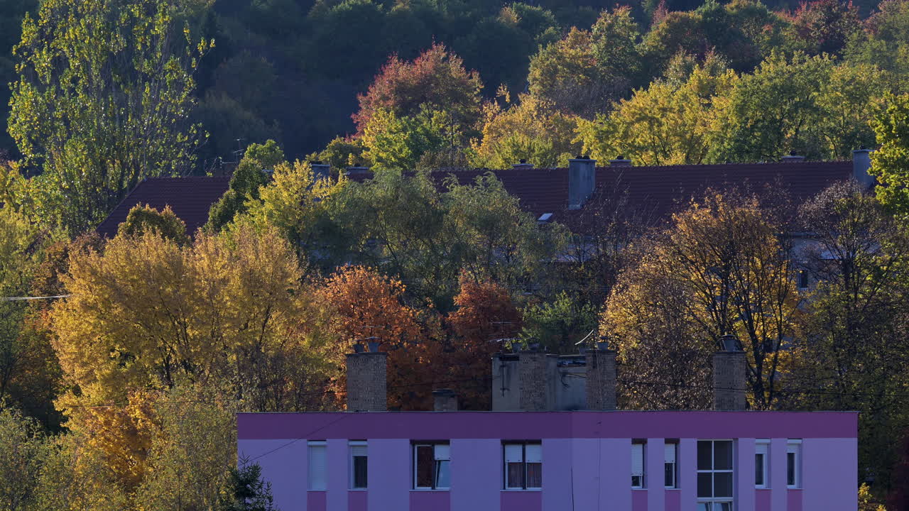 Colorful Autumn Trees Behind a Pink Apartment Building