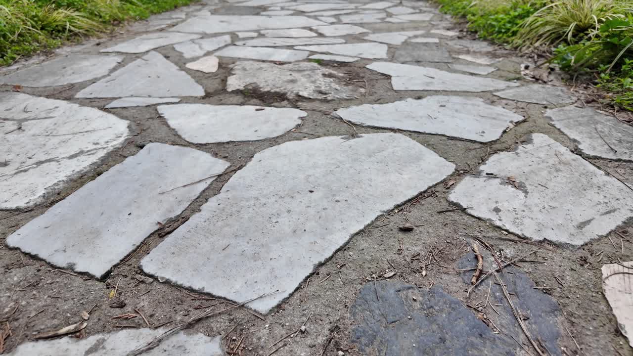 Stone Pathway in a Garden