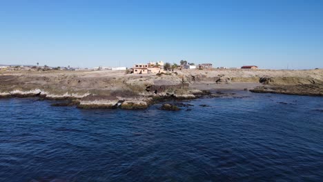 plataforma rodante aérea inversa sobre rocas revela bandada de gaviotas volando majestuosamente
