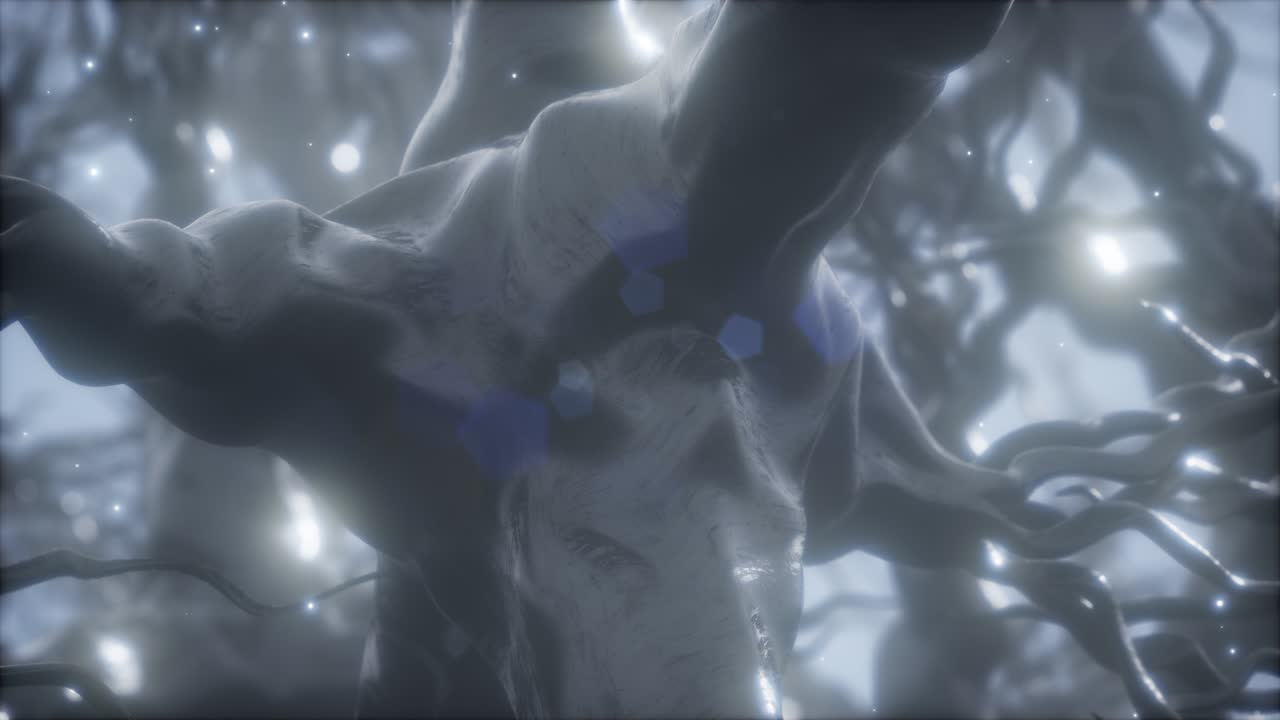 뇌 안의 신경 세포 네트워크를 통해 여행합니다.