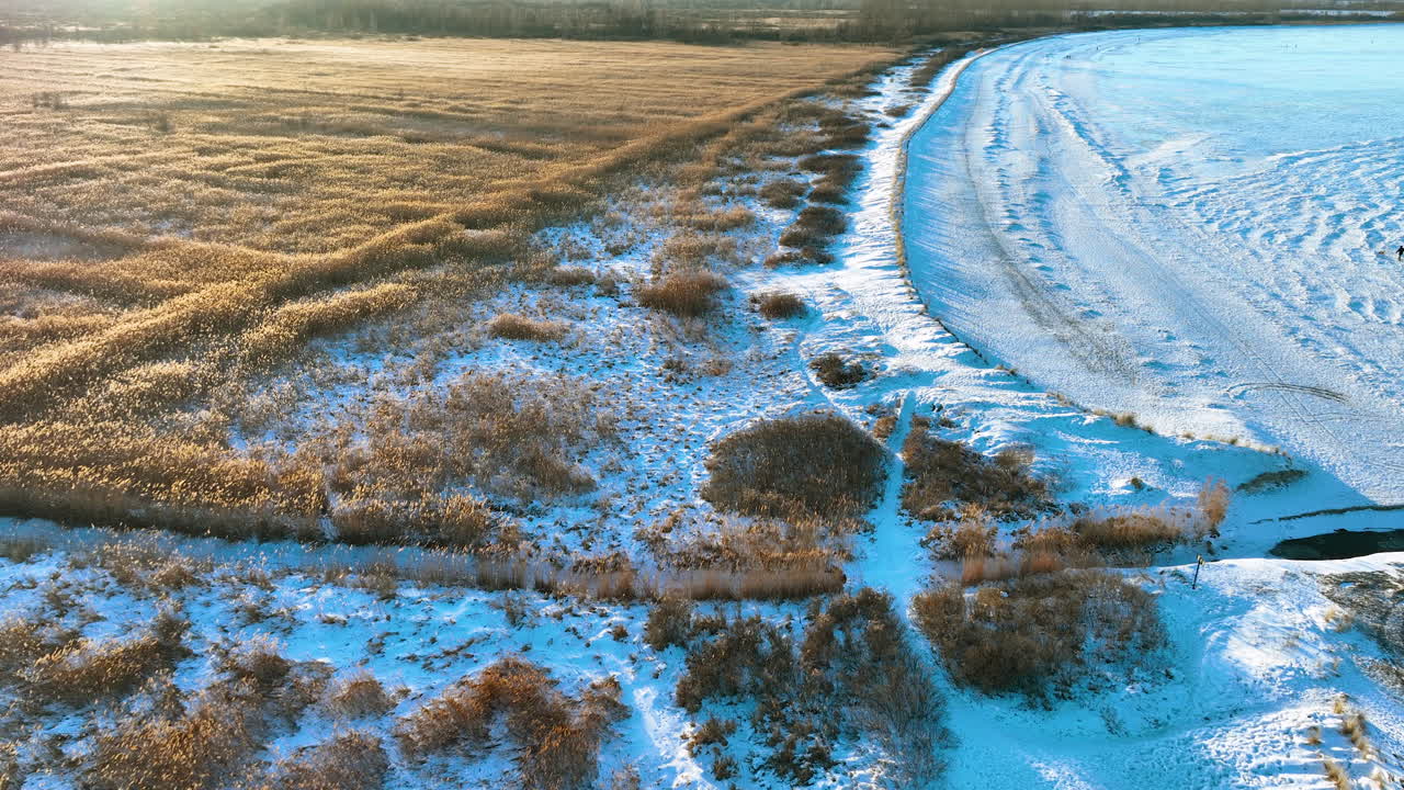 Betagende luftfoto af en frossen kystlinje i Rewa, Polen, med gyldne rør og snedækket jord under en kold vintersolnedgang.