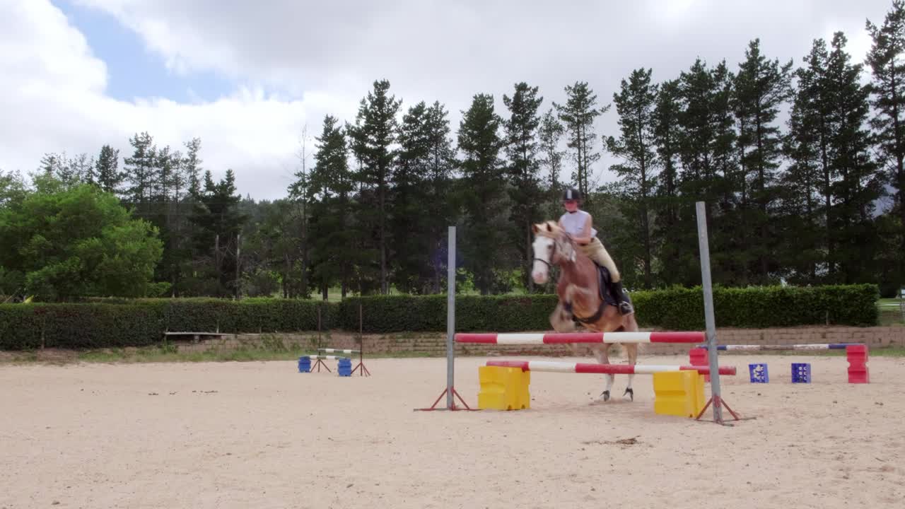 Un cavallo e un cavaliere in un'arena equestre all'aperto con ostacoli da salto.