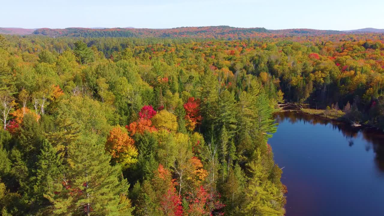 Bird's eye view of the dense Canadian forests on the shores of a large lake