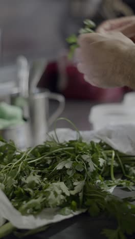 hands preparing fresh herbs in a kitchen