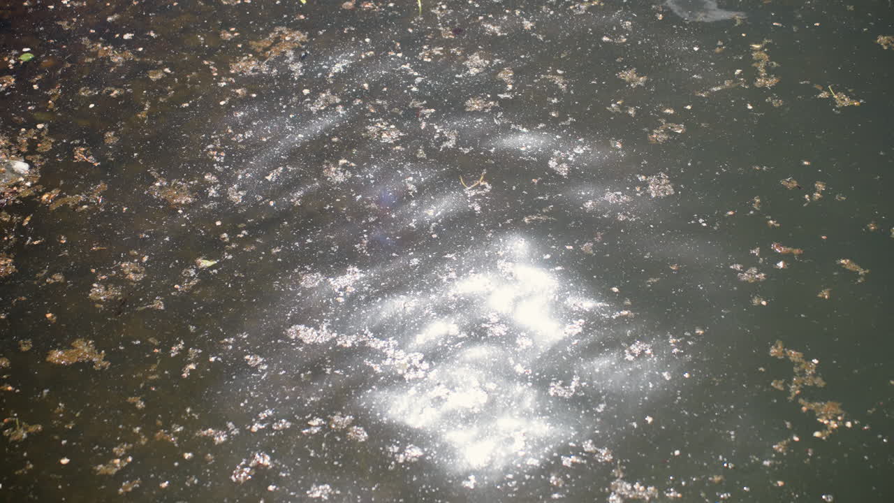 쓰레기가 흩뿌려진 연못 표면 위로 반짝이는 햇빛, 소용돌이치는 섬광이 입자와 떠다니는 플라스틱 병을 비추고, 역동적인 물결과 밝은 보케, 빛나는 하이라이트와 흐린 물의 대비