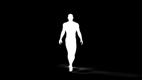 human body muscle map walk cycle rendered loopable with alpha matte