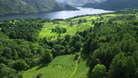 slow flight over forested hillside towards large lake surrounded by mountains on summer day