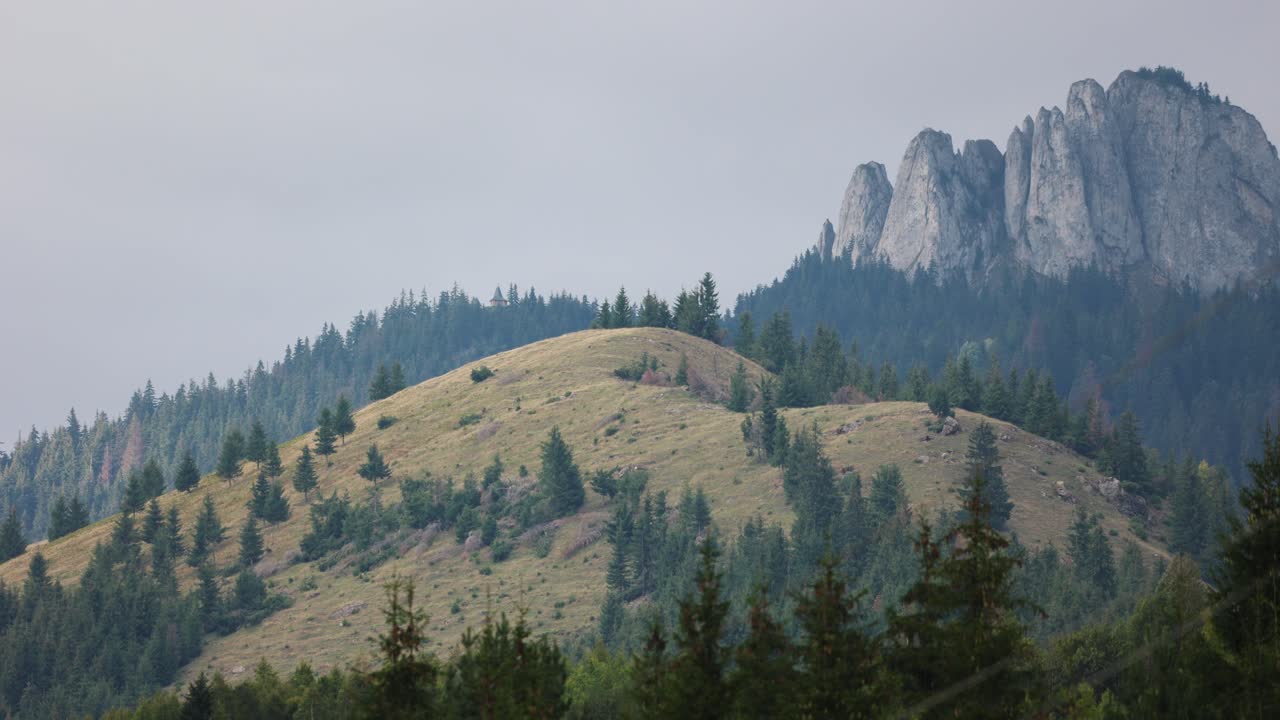 panorama de montañas y bosques de pinos