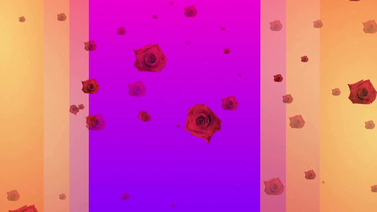 animación de rosas rojas sobre formas en fondo púrpura