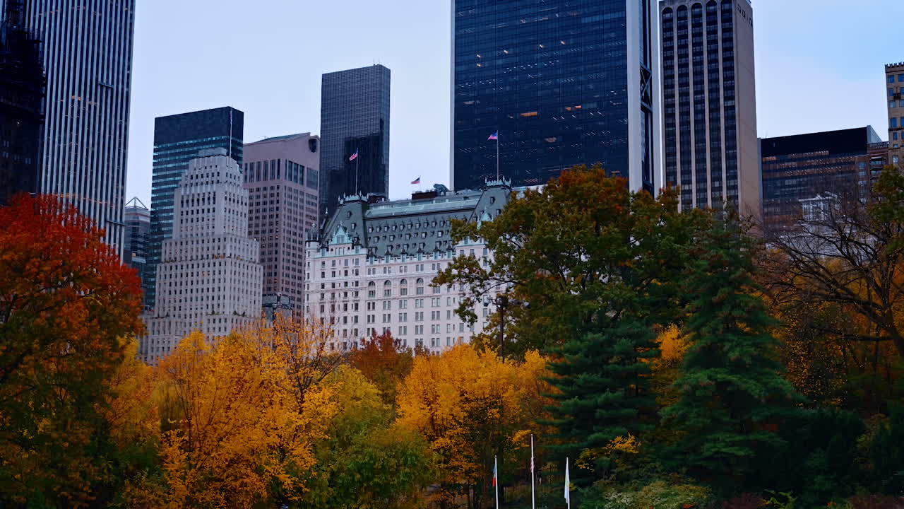Colorful foliage of the trees against grey facades of the high-rises. Beauty of Central Park in New York in autumn