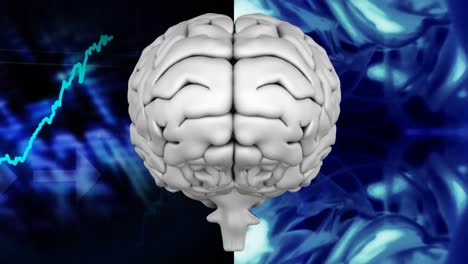 animación de la parte superior del cerebro contra un código binario y gráficos