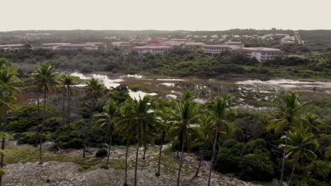 drone-flight-over-trees,-marsh-and-resort