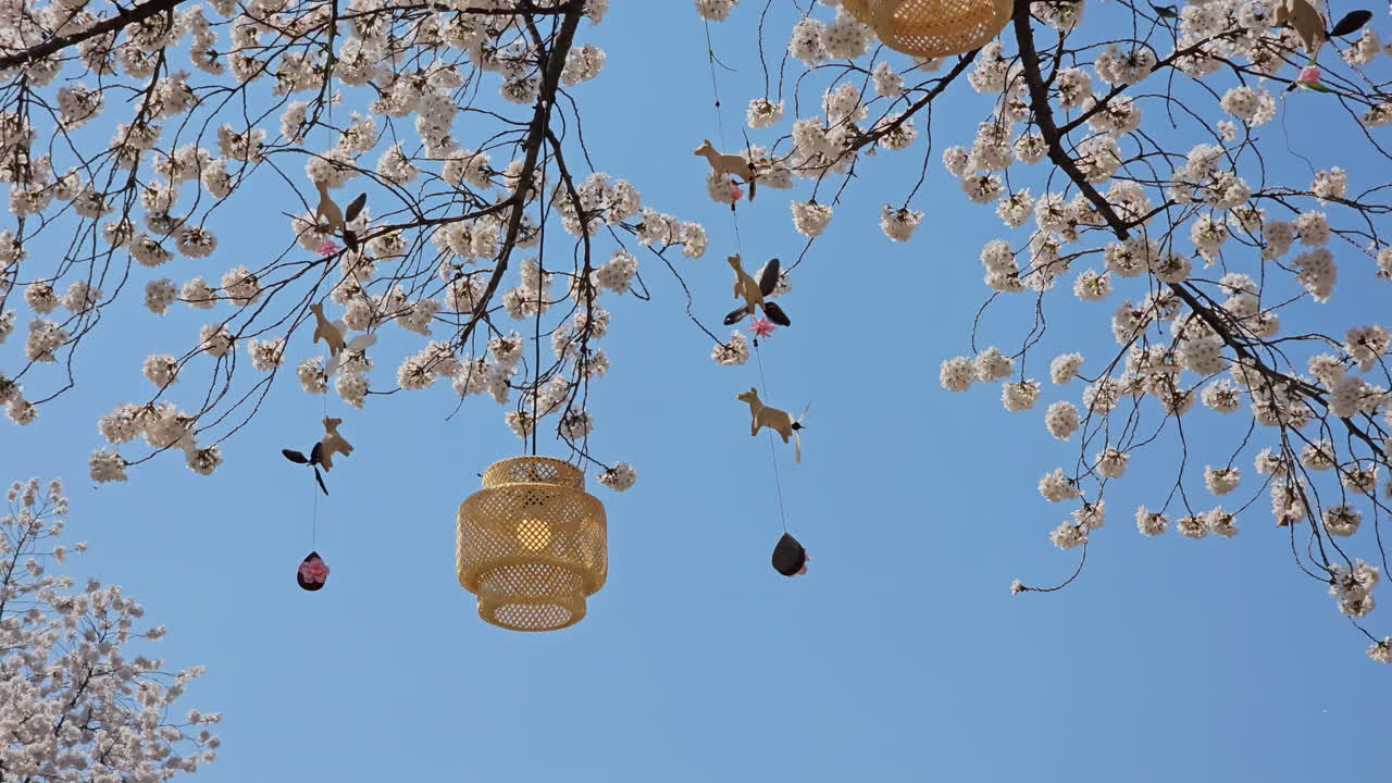 Lantern And Wind Chimes Hanging On Branches Of A Sakura Tree In Bloom During Sakura Festival At Let's Run Park Seoul In South Korea