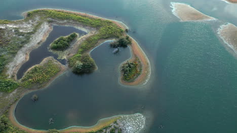 pequeña isla en medio del paisaje acuático de vogelmeer dentro del parque nacional zuid-kennemerland en países bajos