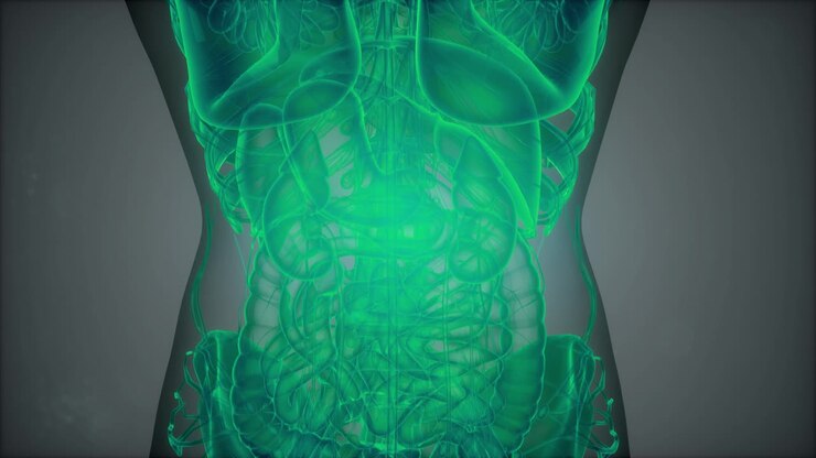 3D magnetic resonance image scan