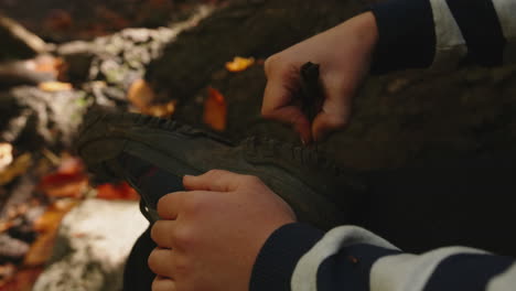 niño atando botas de senderismo en un bosque