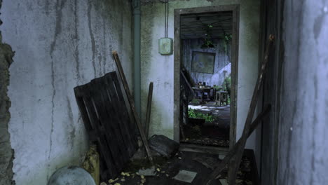 abandoned building interior with overgrowth and debris in a dilapidated room