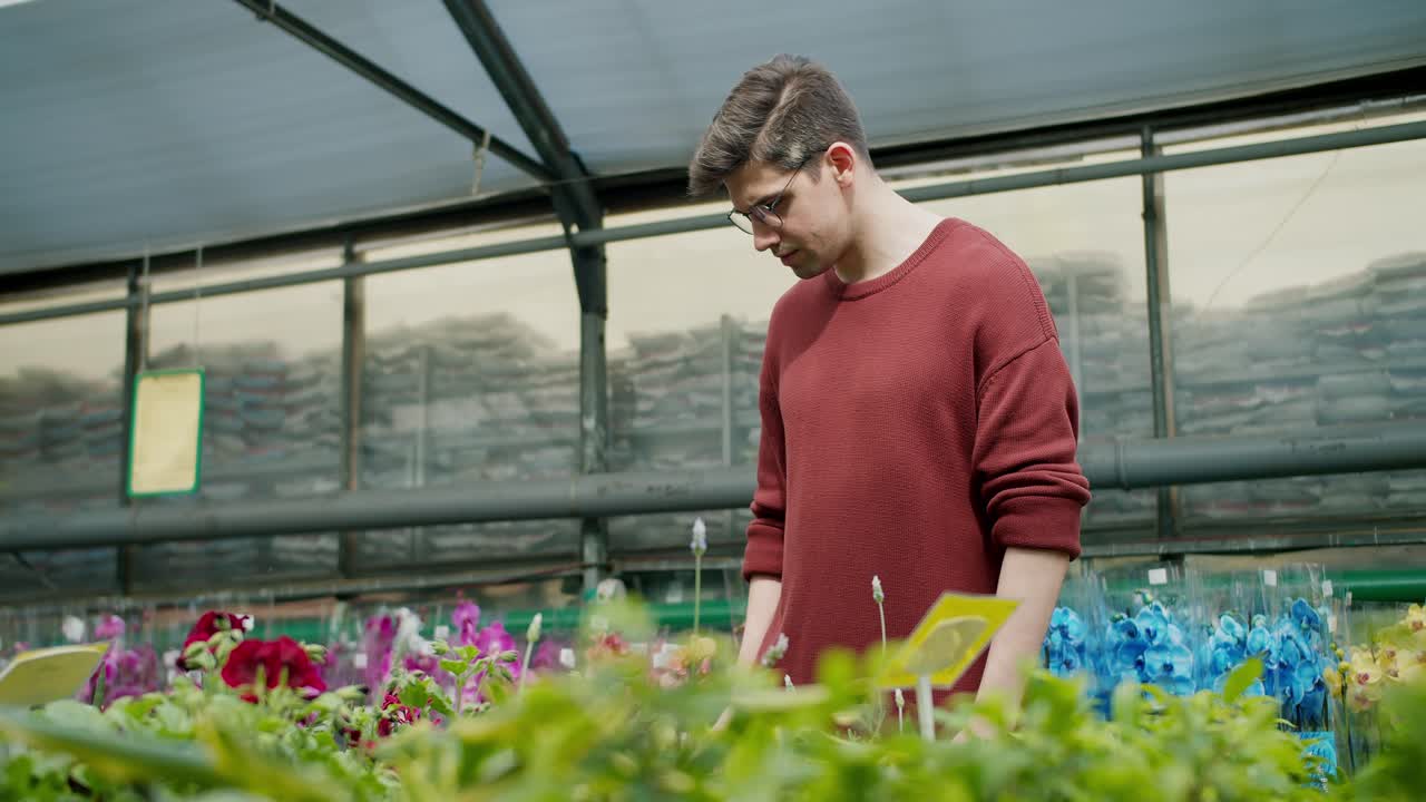 꽃 가게에서 꽃병 식물 을 선택 하는 안경 을 입은 갈색 스웨터 젊은 남자