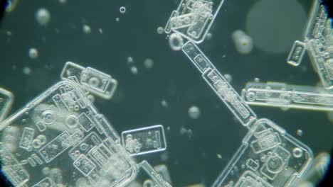 intricate microscopic view of crystalline structures highlighting unique patterns and formations in a captivating nature scene