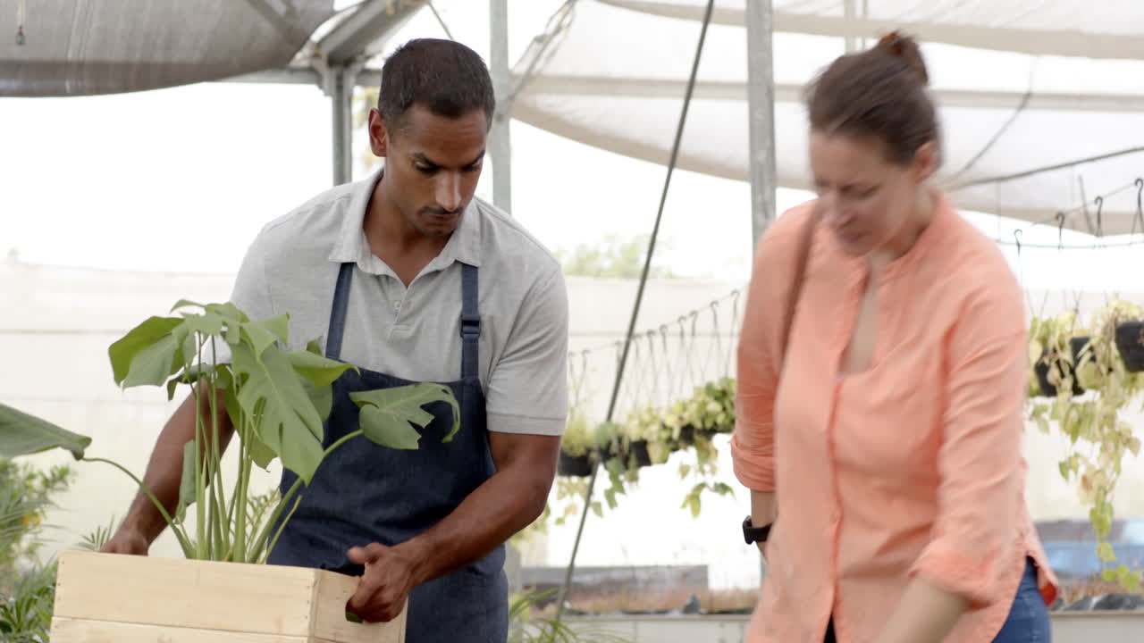 Gardening together, diverse man and woman carrying potted plants in greenhouse nursery