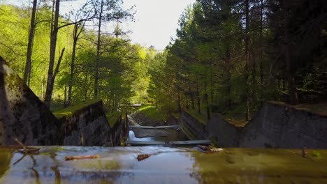 uitzicht op een zwitserse gekanaliseerde rivier in een bos