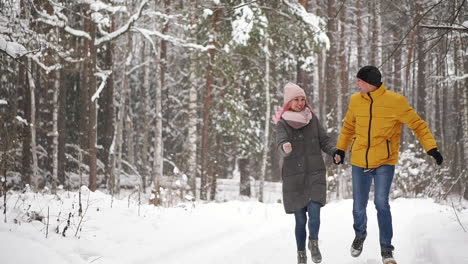 una pareja joven y hermosa se divierte en el parque, corriendo y tomados de la mano. concepto de historia de amor y día de san valentín. temporada de invierno.