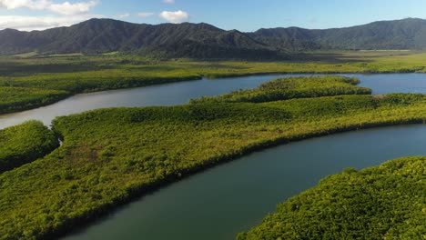 river flowing through tropical rainforest environment, aerial view