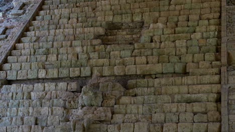 cerca de las ruinas de una pirámide maya en copan