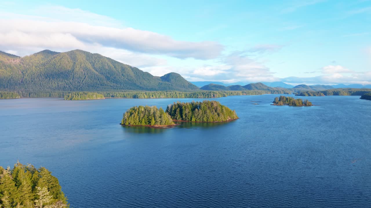tomada de drone de tofino en la isla de vancouver que muestra colores de otoño, costa escarpada y olas del océano en una vista aérea panorámica.