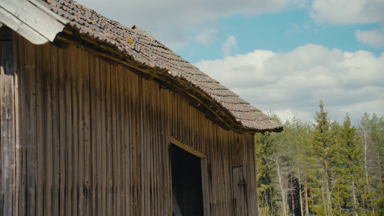 Eine verwitterte Holzscheune steht bei sanftem Tageslicht neben einem Wald, mit strukturierten Holzwänden, einem gealterten Ziegeldach und ziehenden Wolken, die eine ruhige ländliche Szene bilden.