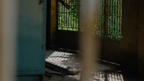 Outside-the-rotting-fence-of-the-abandoned-factory