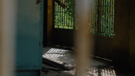outside the rotting fence of the abandoned factory