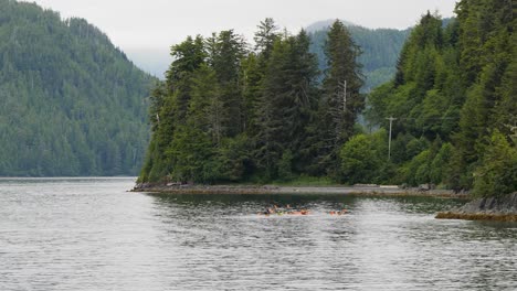 tourists kayaking in sitka, alaska, united states of america.
