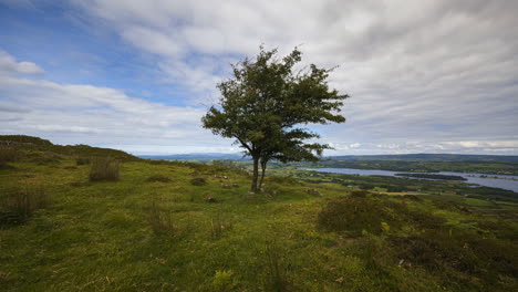 Lapso-De-Tiempo-Del-Paisaje-Rural-Y-Remoto-De-Hierba,-árboles-Y-Rocas-Durante-El-Día-En-Las-Colinas-De-Carrowkeel-En-El-Condado-De-Sligo,-Irlanda